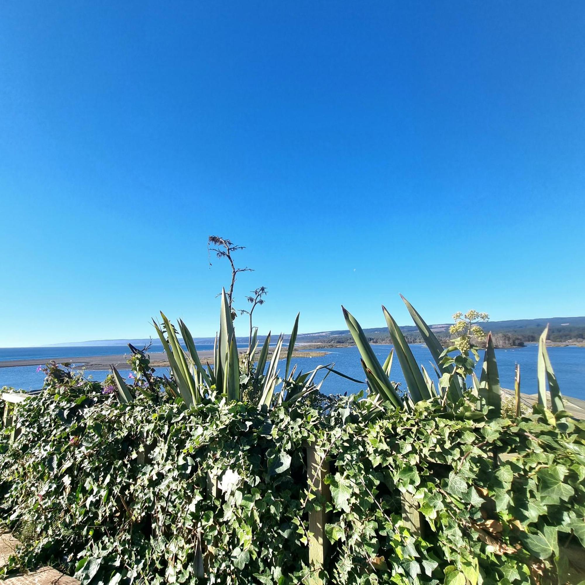 Max & Mar Pichilemu Hotel Buitenkant foto